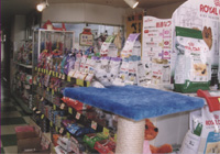 �����ł��܂ꂽ�񂾂�I