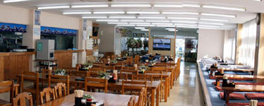 ���s��^��O�̉w�@���싛�͊ݐH��